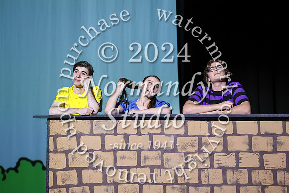 LIB_charlie brown_58