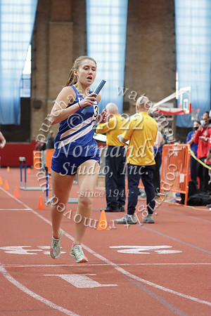 WHS_22_wt-g