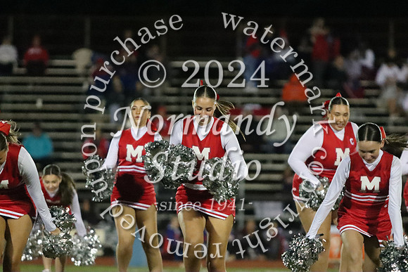 MNP_dt_31