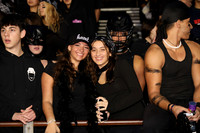 MNP_fans_12