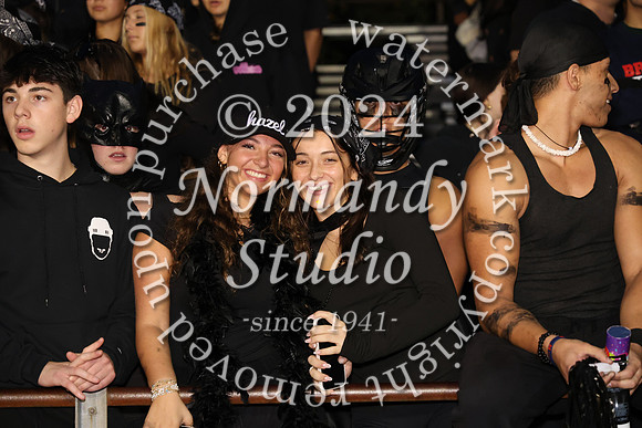MNP_fans_12