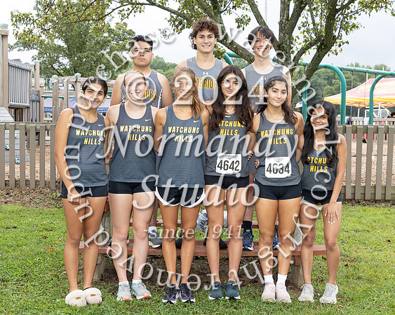 WTG_cc-g-t_06
