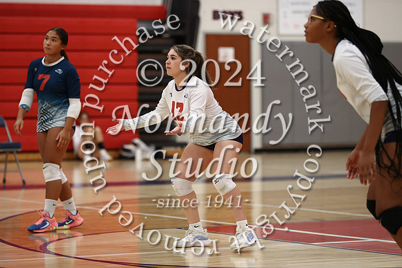 LIB_vb-g_31