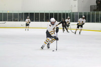 ICE HOCKEY