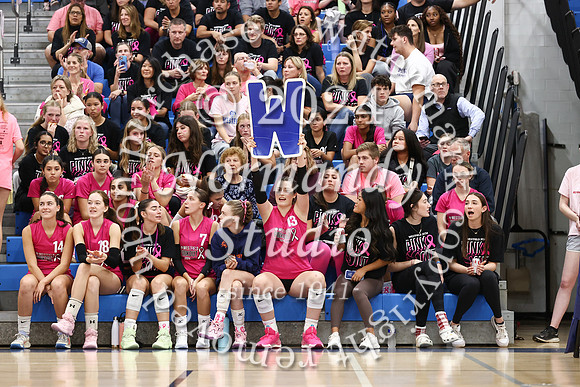 WHS_vb-pink out_27