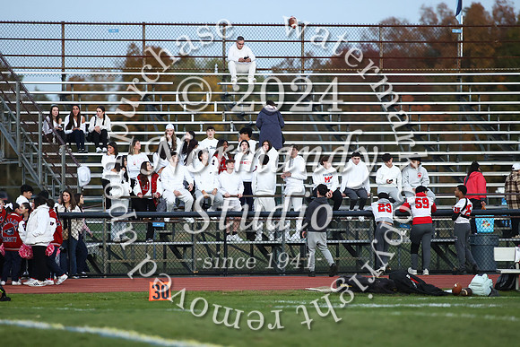 MNP_fans_01