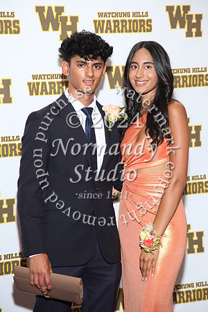 WTG_sr_prom_058