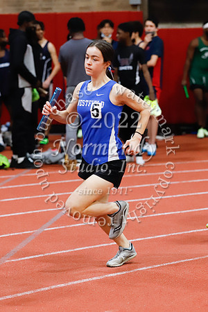 WHS_51_wt-g