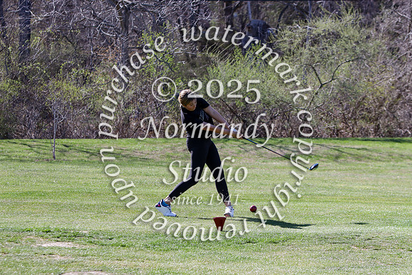 WMC_go-g_41