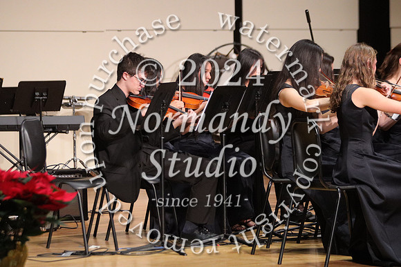 BER_orchestra_20