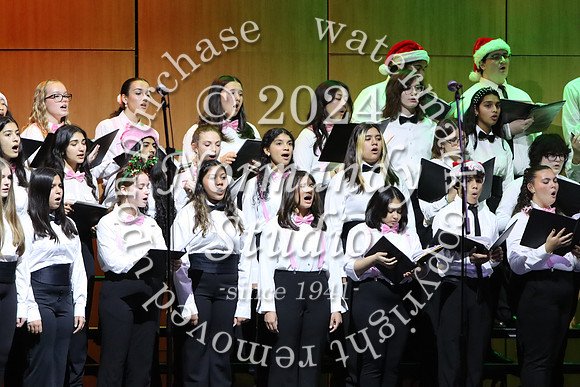 WTG_concert_66