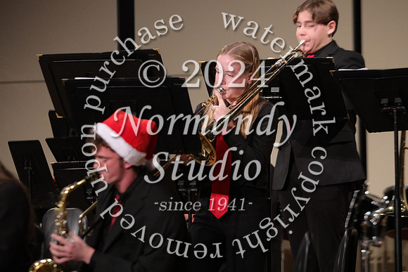 BER_orchestra_57