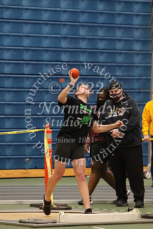 RDG_08_wt-g