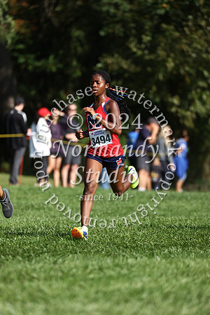 MSM_cc-g_32