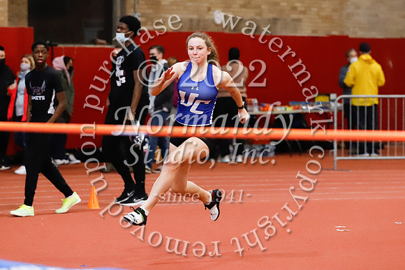 UCH_37_wt-g