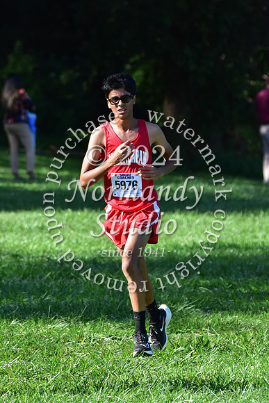 MNP_cc-g+b-j_17