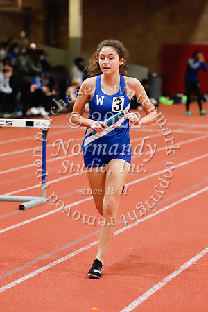 WHS_05_wt-g