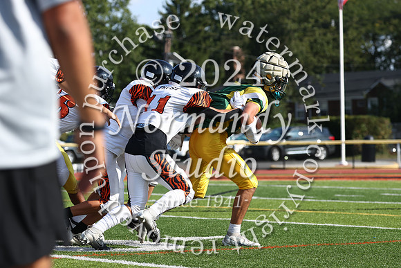 SVL_fb-f_63