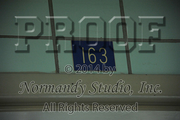 WHS_055_slc