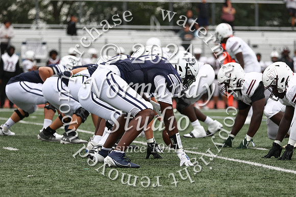 SHP_fb_51