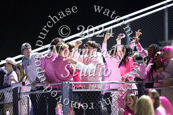 SPF_fans_24