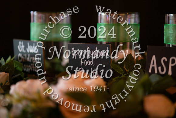 VOR_sr-jr prom_49