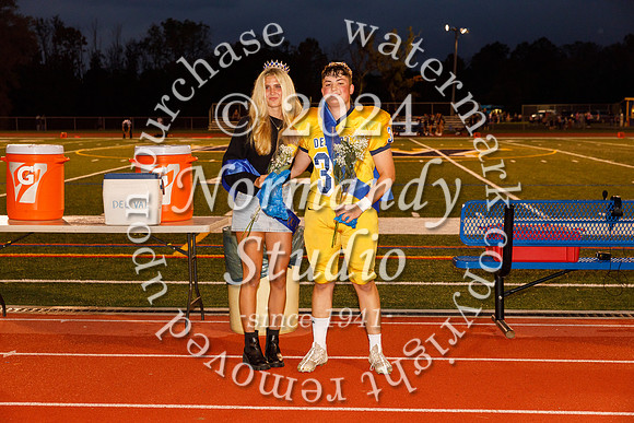 DVH_hc court_11