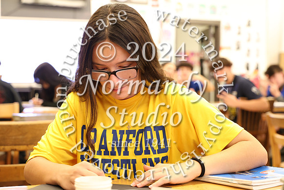 CHS_slc_019
