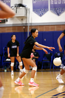 SPF_vb-g_10