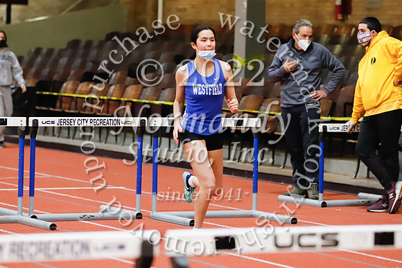 WHS_29_wt-g