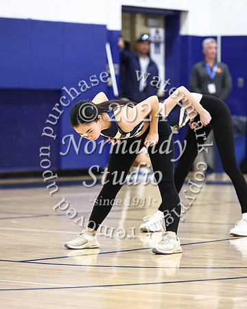 WHS_dt_040