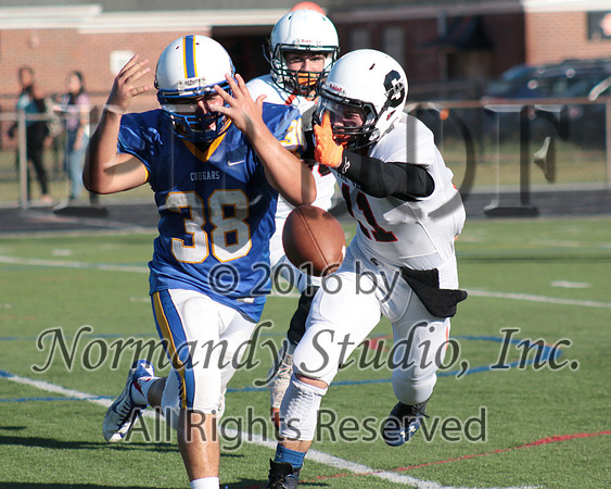 SVL_18_fb-j