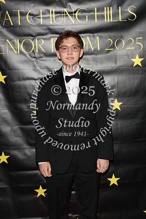 WTG_sr_prom_028