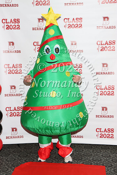 BER_042_stars