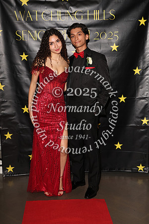 WTG_sr_prom_054