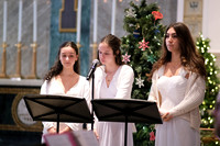MSM_tree lighting_19