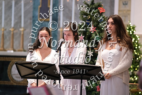 MSM_tree lighting_19