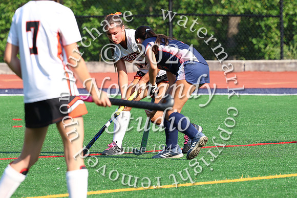SVL_fh_51