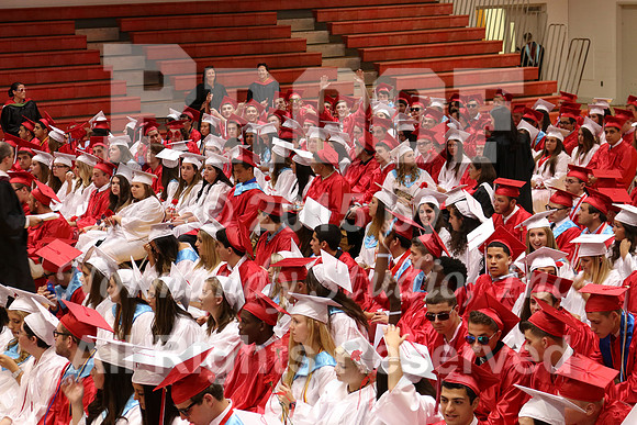 MNP_017_grad