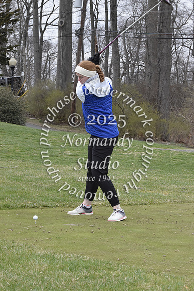 WHS_go-g_04