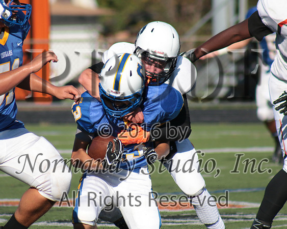SVL_12_fb-j