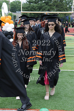 SVL_grad_044