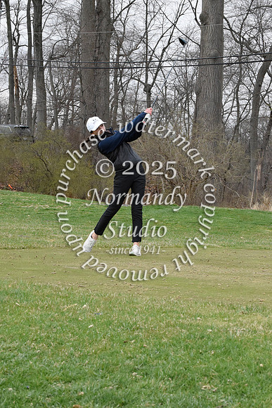 CHS_go-g_32
