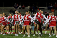 MNP_dt_15