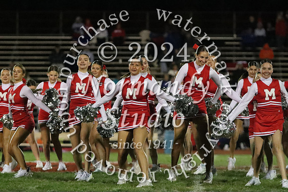 MNP_dt_15