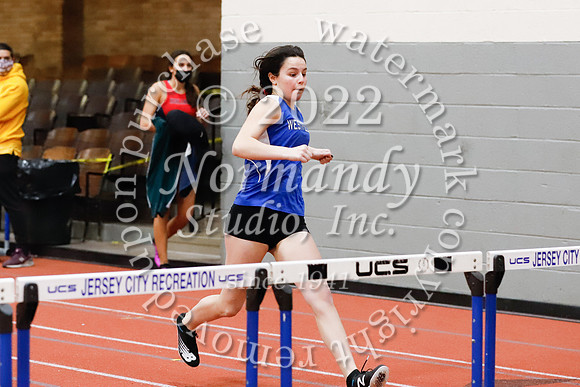 WHS_38_wt-g