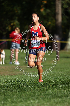 MSM_cc-g_30