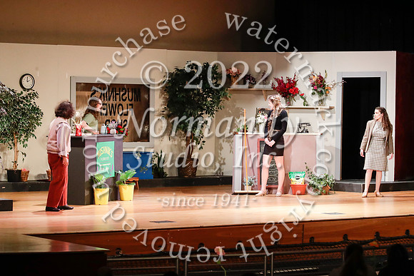 BER_50_little shop of horrors
