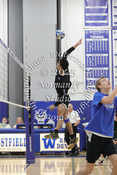 WHS_vb-b-v_10