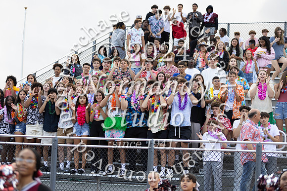 MAT_fans_06